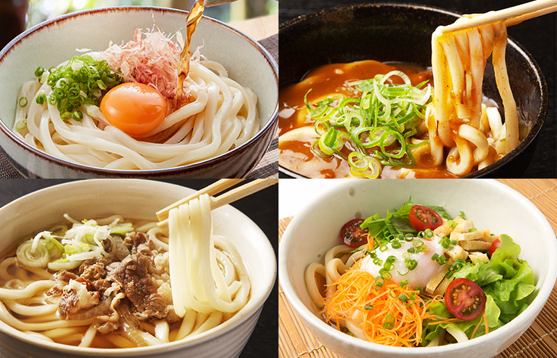 麺名人 なにわうどん（5食×3パックセット）【冷凍うどん 簡単調理 麺 一人暮らし】 005A196