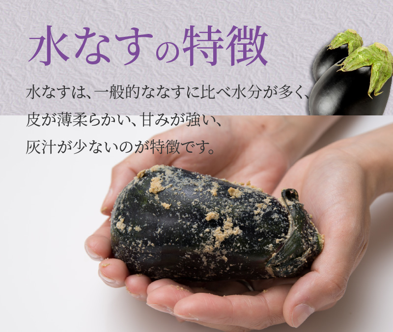 【先行予約】特選水なす浅漬け＆生なす 5個入り【食べ比べ 新鮮 野菜 泉佐野産 茄子 やさい 高評価 数量限定】 010B1649