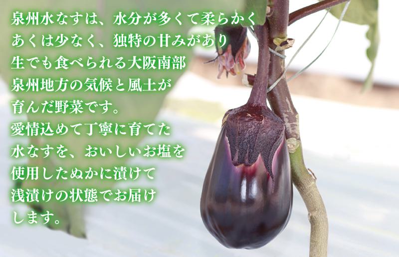 【お歳暮対応】大人気 泉州水なす漬け 6個 夏旬の水なすを冬にどうぞ！ 010B1097o