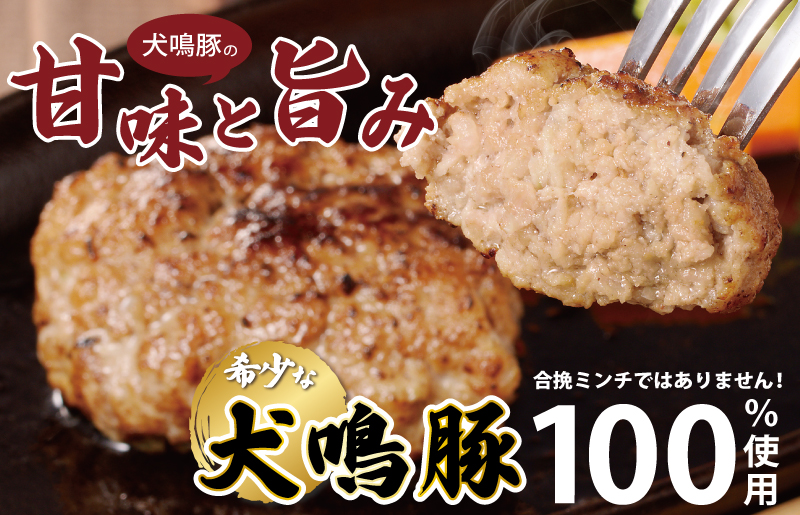 【泉佐野ブランド豚】犬鳴豚の手作りプレミアムハンバーグ（10個入り） 099H3809