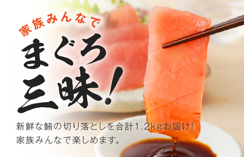 【家計応援】天然まぐろ 切り落とし 合計 1.2kg 小分け 150g×8P【訳あり サイズ不揃い 刺身 海鮮丼 鮪 まぐろ マグロ ユッケ 海鮮 ネギトロ 小分け ファミリー向け】 015B569