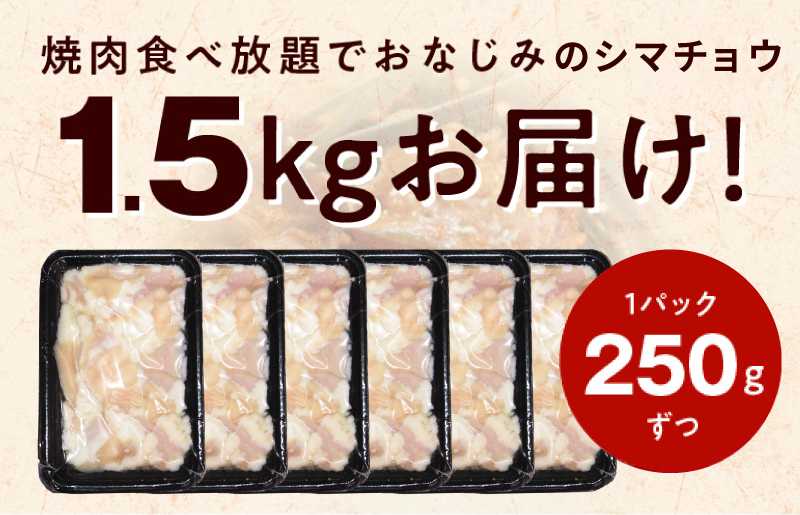 【焼肉屋の定番】シマチョウ 塩だれ漬け 1.5kg【小分け 250g×6 牛肉 ホルモン 焼肉用】 010B1516