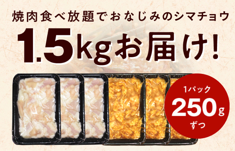 【焼肉屋の定番】シマチョウ 塩/味噌だれ漬け 1.5kg【小分け 250g×6 牛肉 ホルモン 焼肉用 食べ比べ】 010B1518