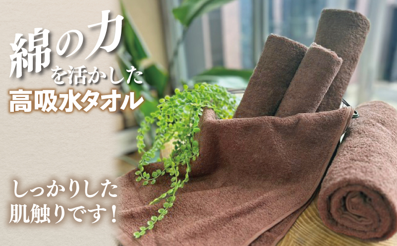 【スピード発送】～MENRIKI～高吸水タオル／ミニバスタオル／バスタオル 5枚セット（ミルクブラウン）【泉州タオル 国産 吸水 普段使い シンプル 日用品 家族 ファミリー】 010B1448