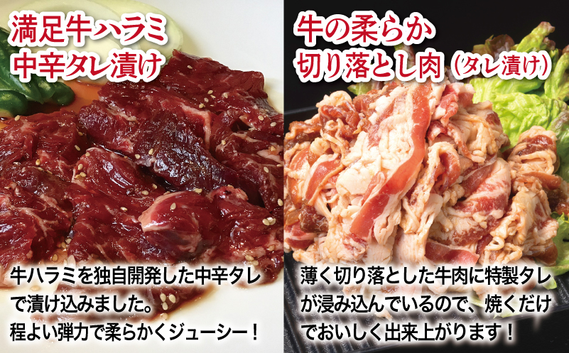 【タレ漬け牛肉2種セット】 満足牛ハラミ・牛肉切り落とし 合計1kg 【味付け ハラミ 小分け 焼くだけ 簡単調理 BBQ 牛肉 250g×各2P 普段使い】 099H4185