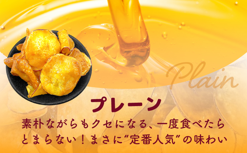 【期間限定】芋匠さのやの大人気お芋チップス3種＋芋けんぴ小50g付き 010B1835