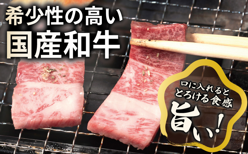 A5ランク 国産和牛 肩ロース 焼肉用 オリジナルスパイス  小分け少量パック（300g×1P） 010B1925