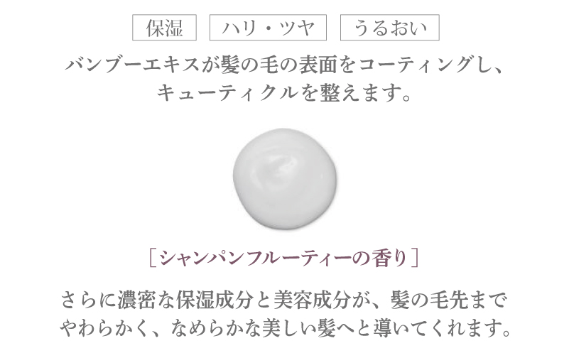 アリスベル トリートメントボーテレパラトリス 380g シャンパンフルーティーの香り 015B581