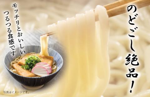 麺名人 つるつるうどん 15食【個包装 冷凍 惣菜 麺 簡単調理 一人暮らし】 099H2513