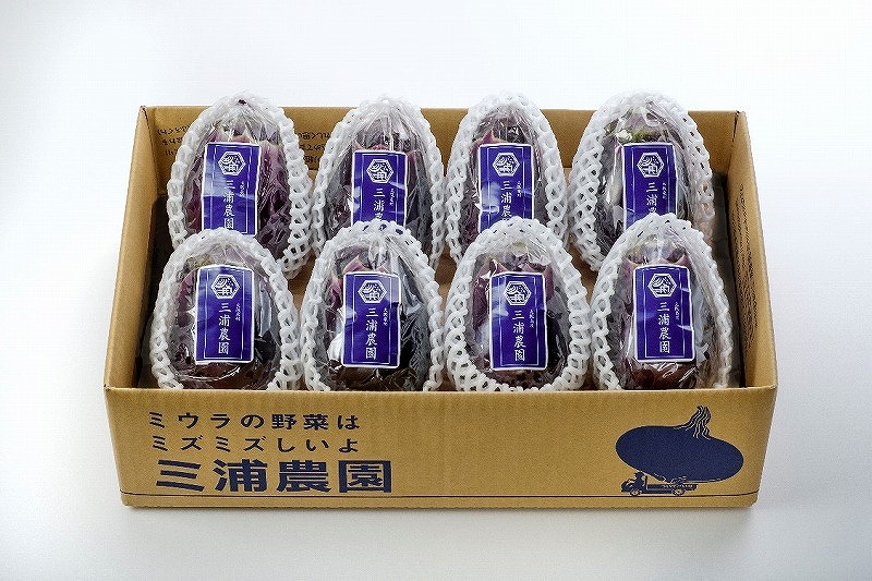 Premium水なすセット【新鮮 野菜 泉佐野産 茄子 やさい 高評価 数量限定】 020C066