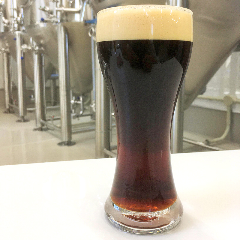 KIX BEER デュンケル12本セット【クラフトビール ビール お酒 地ビール びーる 瓶ビール 泉佐野ブルーイング】 020C095