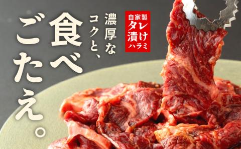 特製タレ漬け ハラミ 500g 小分け 250g×2P 牛肉 焼き肉専門店 099H3564