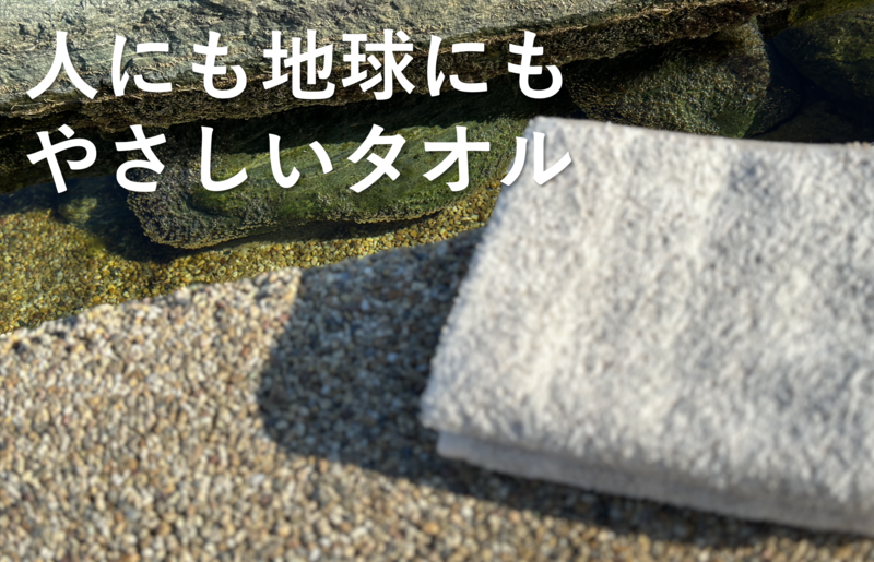 【THE EARTH TOWEL】10枚セットバスタオル／速乾泉州タオル（グレー）【泉州タオル 国産 吸水 普段使い シンプル 日用品】 050F108
