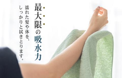 驚きの高吸水タオル『プレーン』バスタオル 6枚セット【泉州タオル 国産 吸水 普段使い シンプル 日用品】 099H1668