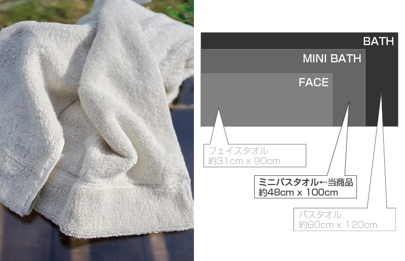 【スピード発送】 エアーミニバスタオル 2枚（ライトグレー）【泉州タオル 国産 吸水 普段使い シンプル 日用品 家族 ファミリー】 099H1875