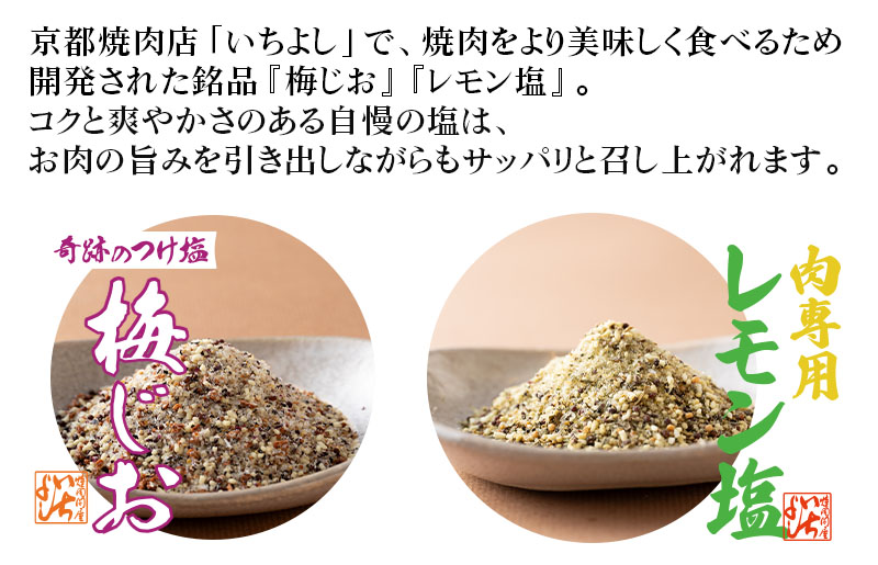 焼き肉専門店 梅じお レモン塩 スパイスセット 90g×合計4袋 お試し 099H2494