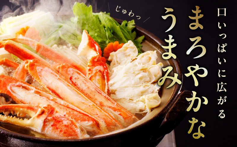 生ずわい蟹 2kg 5Lサイズ 4肩前後 昆布仕立て kgp0025