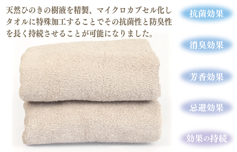 ギフトBOX 抗菌防臭バスタオル2枚セット（パールグレー）【泉州タオル 国産 普段使い シンプル 日用品】 099H2685