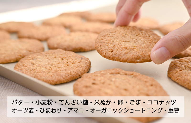 【2025年万博 大阪代表商品】さのかるたクッキー（12枚入り）【洋菓子 スイーツ おやつ お土産 お菓子 お土産コンテスト 優秀賞】 099H2827