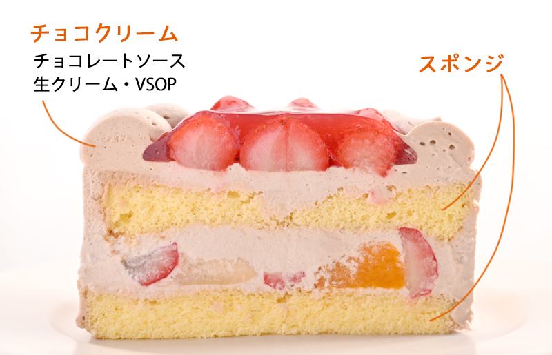 生チョコデコレーション （冷凍ケーキ） 12cm×1台【洋菓子 スイーツ おやつ てんさい糖 冷凍ケーキ】 099H2837