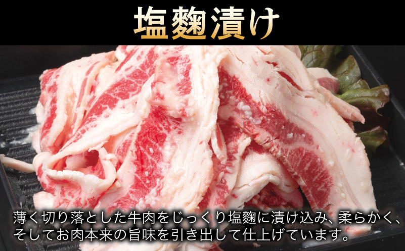 牛肉 切り落とし 塩麹漬け 合計2.5kg【味付け 小分け 焼くだけ 簡単調理 BBQ 牛肉 250g×10袋 普段使い】 099H3387