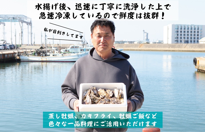 牡蠣 3kg【先行予約 かき カキフライ 冷凍 加熱用 殻付き 魚介類 海鮮 大阪湾 産地直送】 G2187