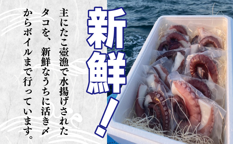 冷凍ボイルタコ 足のみ 合計1kg（100g前後×7～14パック）たこ 刺身 個包装 酒の肴 酢の物 唐揚げ たこぶつ 099H3804
