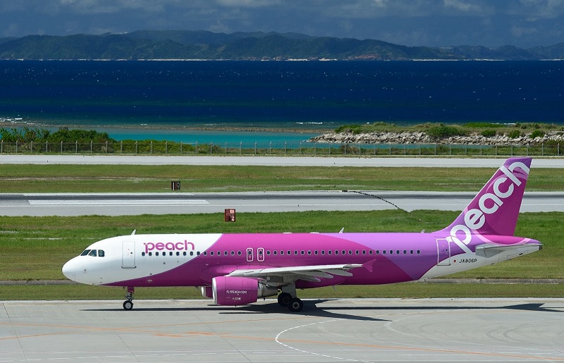 PeachでGo！！泉佐野市宿泊 旅行クーポン（300,000円分）【宿泊 旅行 ホテル トラベル】 099H389