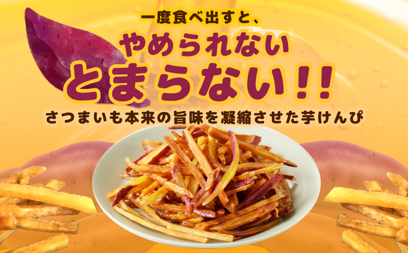 【期間限定】芋匠さのやの大人気お芋スイーツセット（お芋チップス/芋けんぴ）＋芋けんぴ小50g付き 099H4069