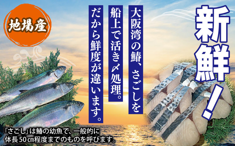 【ANA限定】さわら西京漬け３袋500g+さごしフィレ 合計500g　合計1kg【小分け 切り身 海産 魚 お弁当 焼き魚 冷凍 惣菜 焼くだけ】 099H4097