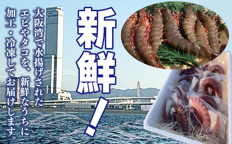 足赤エビ 500g+冷凍ボイルタコ 足のみ 合計1kg 計1.5kg【国産 天然 えび ぷりぷり たこ 刺身 海鮮 水揚げ 生食可】 099H4168