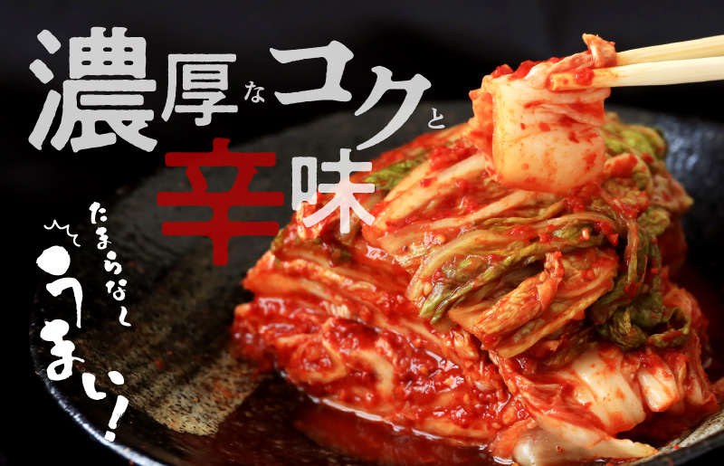 定期便 白菜キムチ 1kg × 3回 大好評 韓国【毎月配送コース 高評価 人気 惣菜 きむち 漬物 韓国グルメ おつまみ 家計応援 お楽しみ 福袋】 099Z246