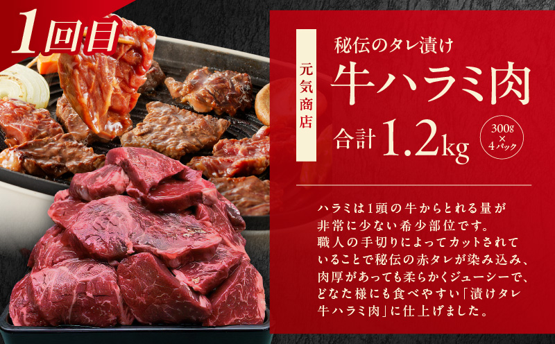 1位獲得の肉 定期便 全3回【牛肉 焼肉 牛タン ハラミ 牛ヒレ お肉 福袋 訳あり サイズ不揃い 毎月配送コース】 099Z309