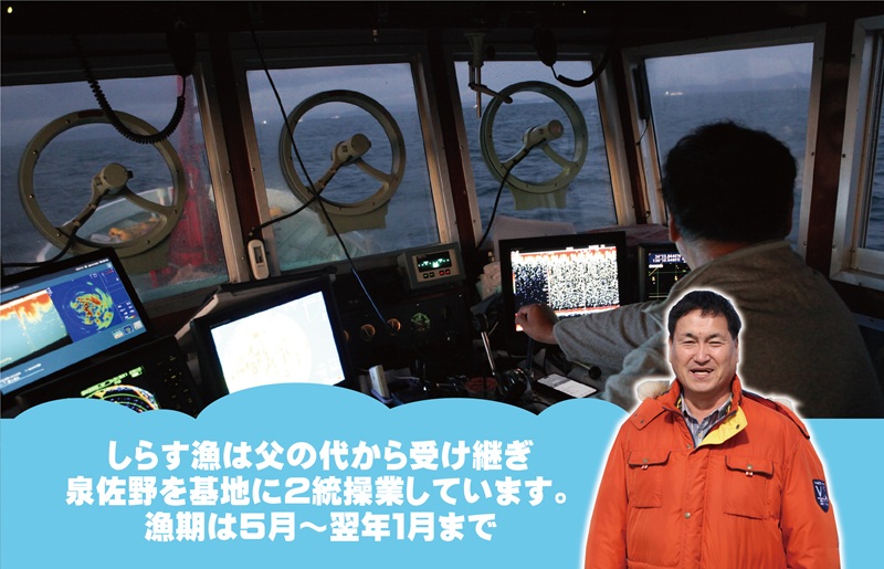 ちりめん山椒しらす 600g×全6回【定期便 小分け シラス しらす sirasu 海鮮 人気 おすすめ 産地直送】 G2192