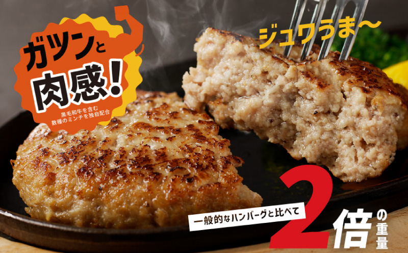 【定期便】黒毛和牛入り BIGハンバーグ（200g×12個）全6回 【毎月配送コース】 099Z413