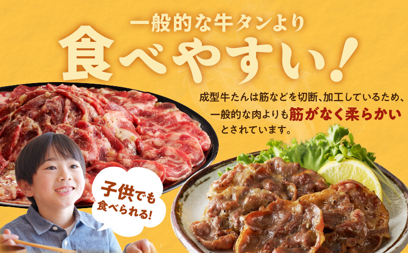 【定期便】ねぎ塩 牛たん（成型）合計 1kg 小分け 250g×4【牛タン 牛肉 焼肉用 薄切り 訳あり サイズ不揃い 2026年3月＆6月発送 全2回】 099Z433