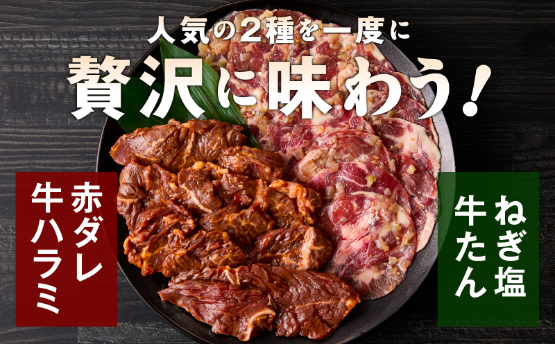 【定期便】牛タン＆牛ハラミ お試し 1kg 焼肉セット【成型牛たん ハラミ 味付き 牛肉 やきにく BBQ 薄切り スライス 訳あり サイズ不揃い 2026年3月＆6月発送 全2回】 099Z445