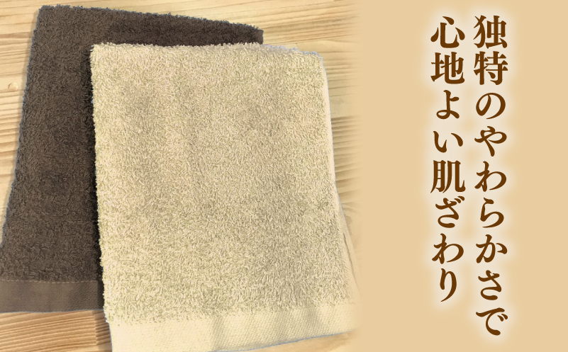 ナチュレル 泉州ハンドタオル10枚（ブラウン系） 005A296