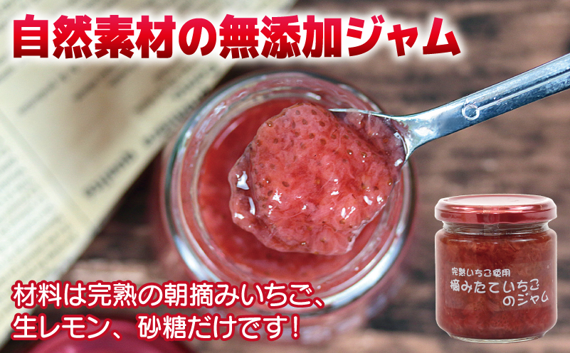 【先行予約】完熟朝摘みいちごのジャム【苺 無添加 自然素材 フルーツ イチゴ 高評価 数量限定】 005A433