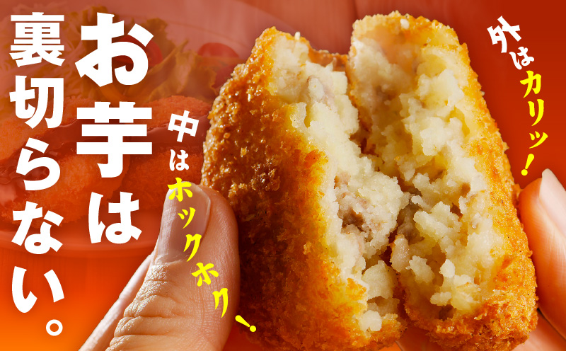 こだわりの国産素材 手作りコロッケ 合計20個【黒コロッケ 無添加 国産 惣菜 おやつ おつまみ お弁当 三代目コロッケ】 G3441