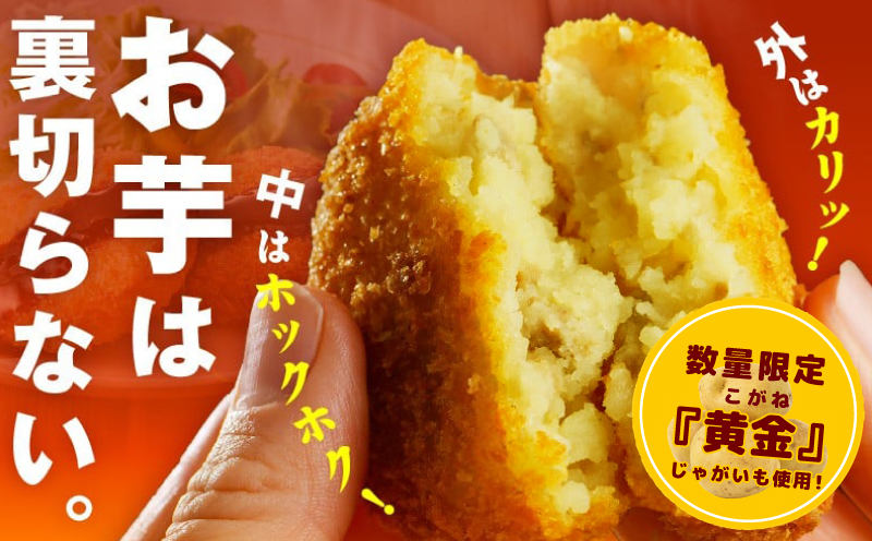 【圧倒的企業努力】こだわりの国産素材 手作りコロッケ 合計10個【黄金 無添加 国産 惣菜 おやつ おつまみ お弁当 三代目コロッケ】 G3542