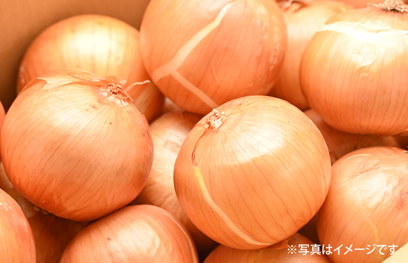 射手矢さんちの玉ねぎスープ 10食×3箱【玉ねぎ タマネギ 玉葱 射手矢農園】 G3670