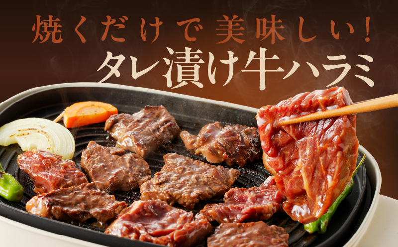 【お試し】牛ハラミ 300g+牛すじ 100g【お試し 秘伝の赤タレ漬け 牛肉 焼肉用 焼くだけ はらみ 小分け BBQ やきにく 肉厚 高評価 訳あり サイズ不揃い】 005A740