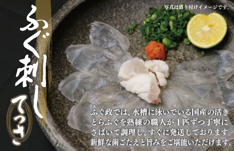 国産活け とらふぐ ふぐ刺し 2人前【てっさ ふぐ フグ ぽん酢付 冷蔵 海鮮】 099H3375