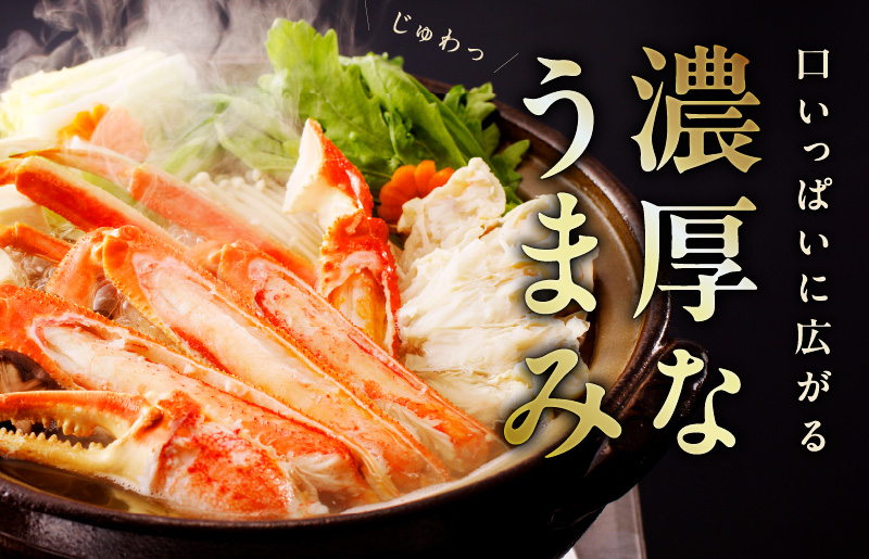 カニ ボイルズワイ蟹 800g（400g×2肩）約2-3人前 昆布仕立て kgp0062