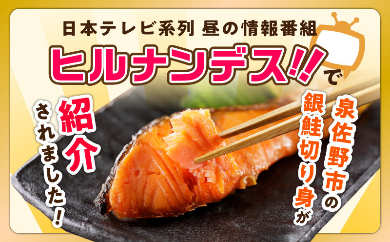 銀鮭 切り身 1kg 9切れ前後【お試し TVで紹介 訳あり サイズ不揃い 海鮮 魚介 鮭 さけ しゃけ お弁当 簡単調理】 kgp0125