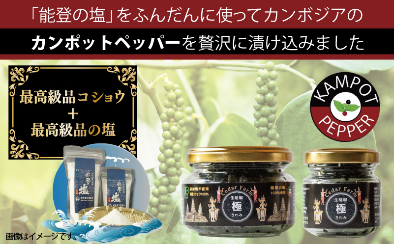 生胡椒 極(きわみ) 25g×2本【能登の塩 コショウ こしょう カンポットペッパー スパイス カンボジア 圧倒的企業努力】 010B1821-1