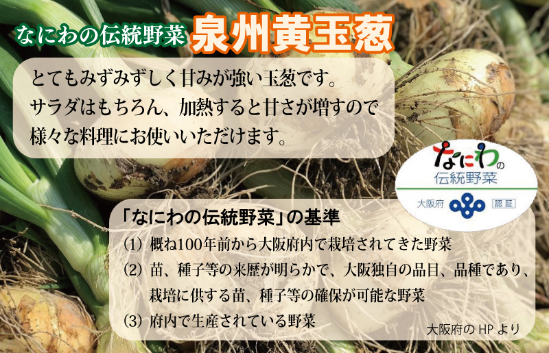 【先行予約】 数量限定 幻のたまねぎ 泉州黄玉ねぎ 10kg【新鮮 野菜 泉佐野産 茄子 やさい 高評価 数量限定】 010B259