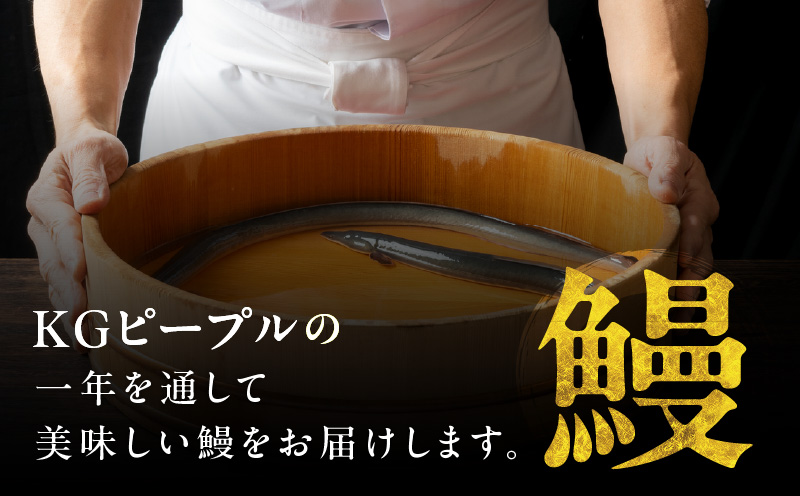 ＜国産＞うなぎ肝タレ焼き 300g 備長炭使用 kgp0015