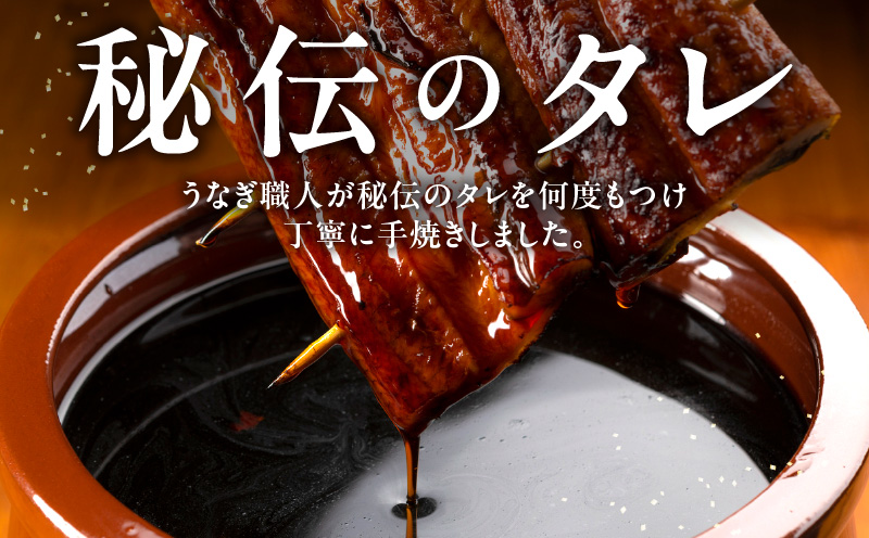 秘伝のたれ仕込み うなぎ蒲焼 合計800g（約160ｇ×5尾）鰻 ウナギ 中国産 温めるだけ 簡単 レンジ調理 ふっくらふわふわ 炭火焼き 備長炭 手焼き kgp0020